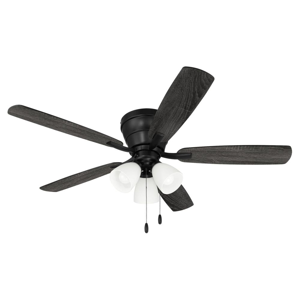 WHL52FB5C3