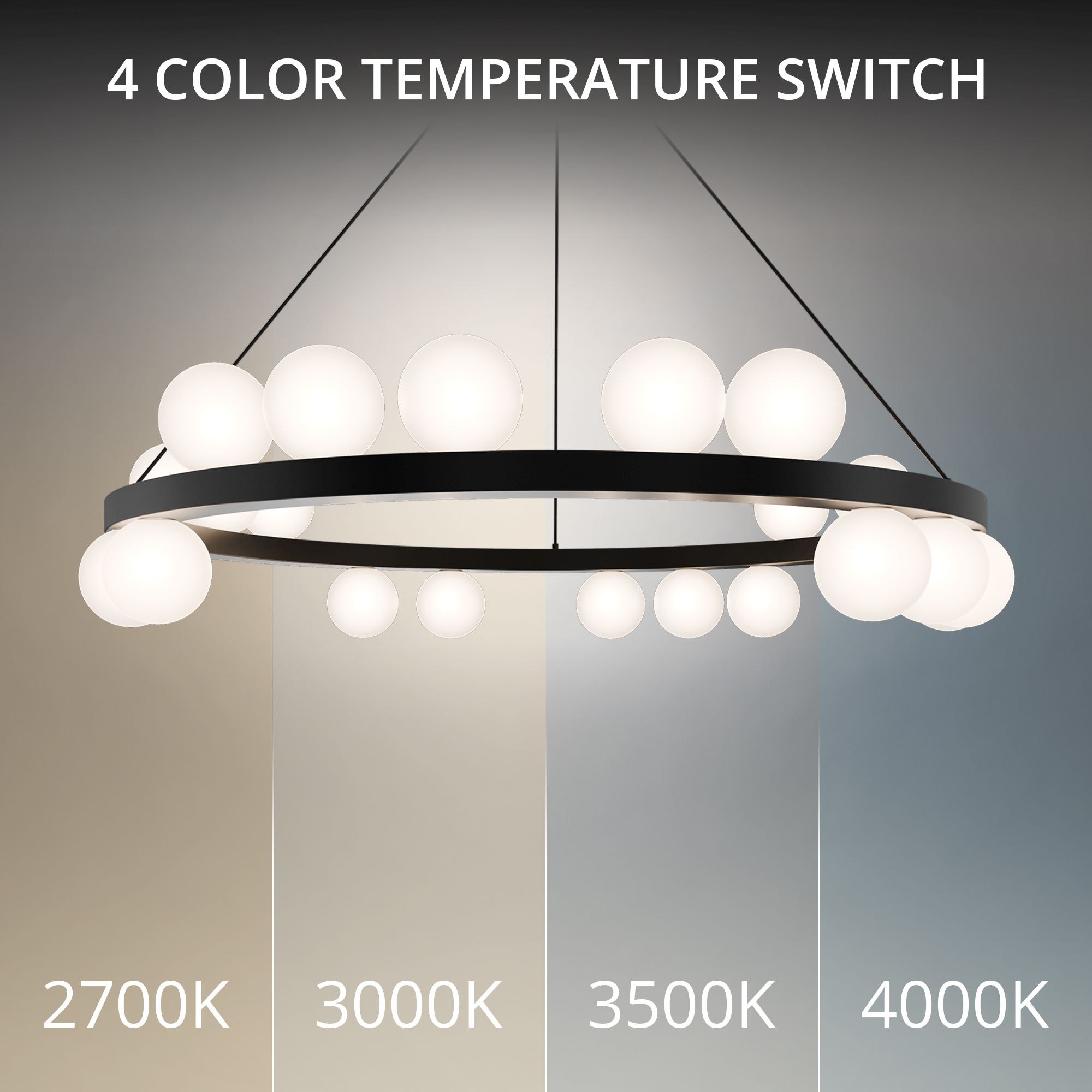 PD-21528-40-BK