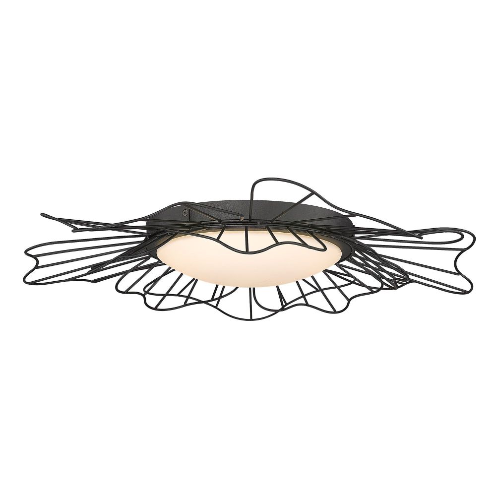 9132-FM24 NB-OP
