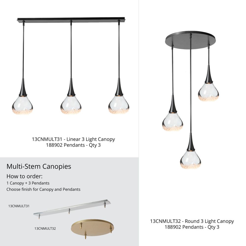 13CNMULT32-10