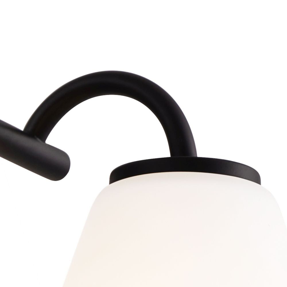FSN-8363-OPAL-MBLK