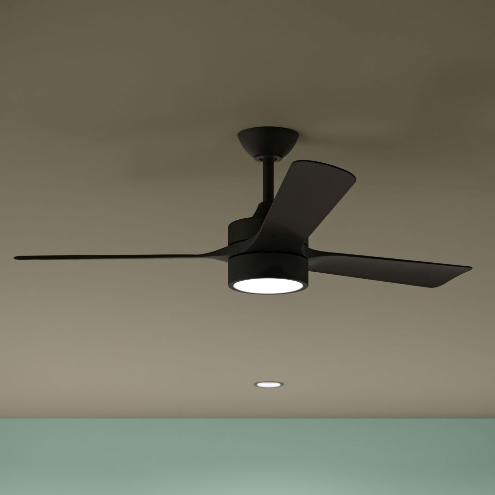 P250123-31M-30