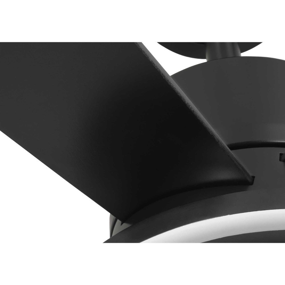P250102-31M-CS