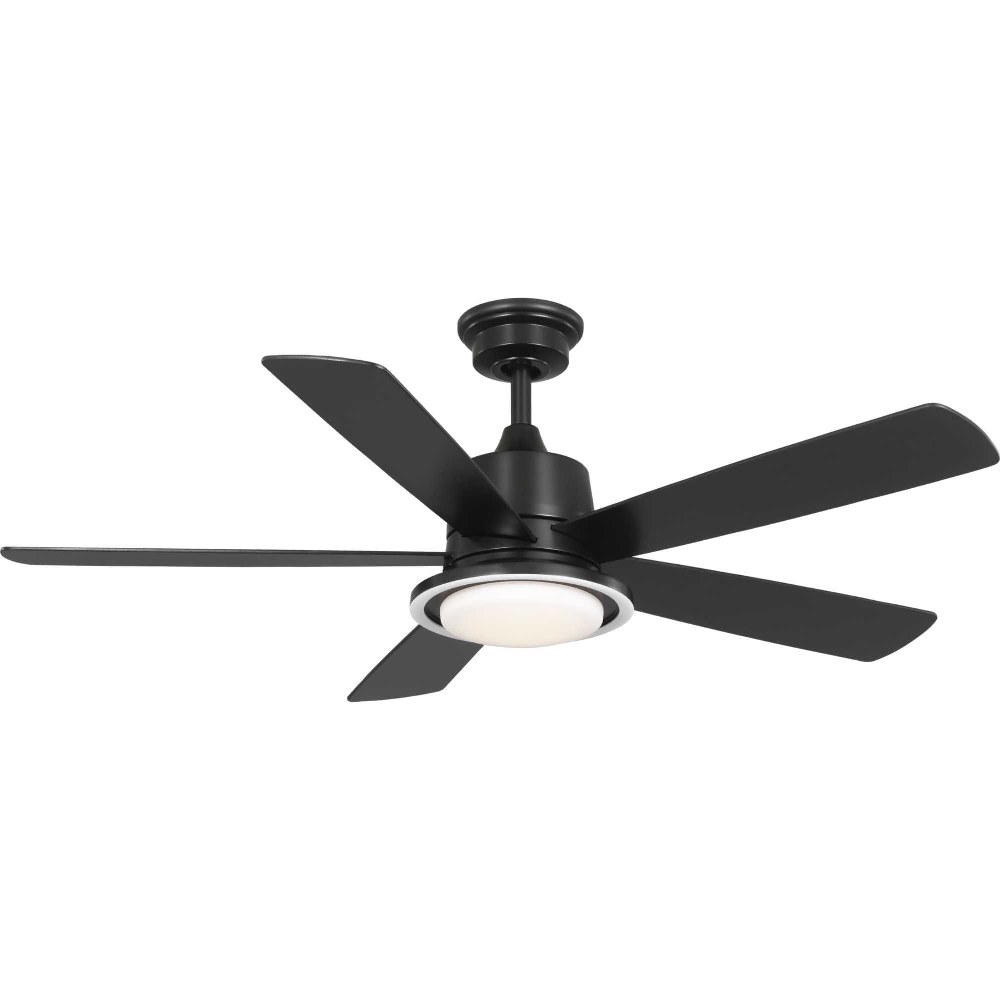 P250102-31M-CS