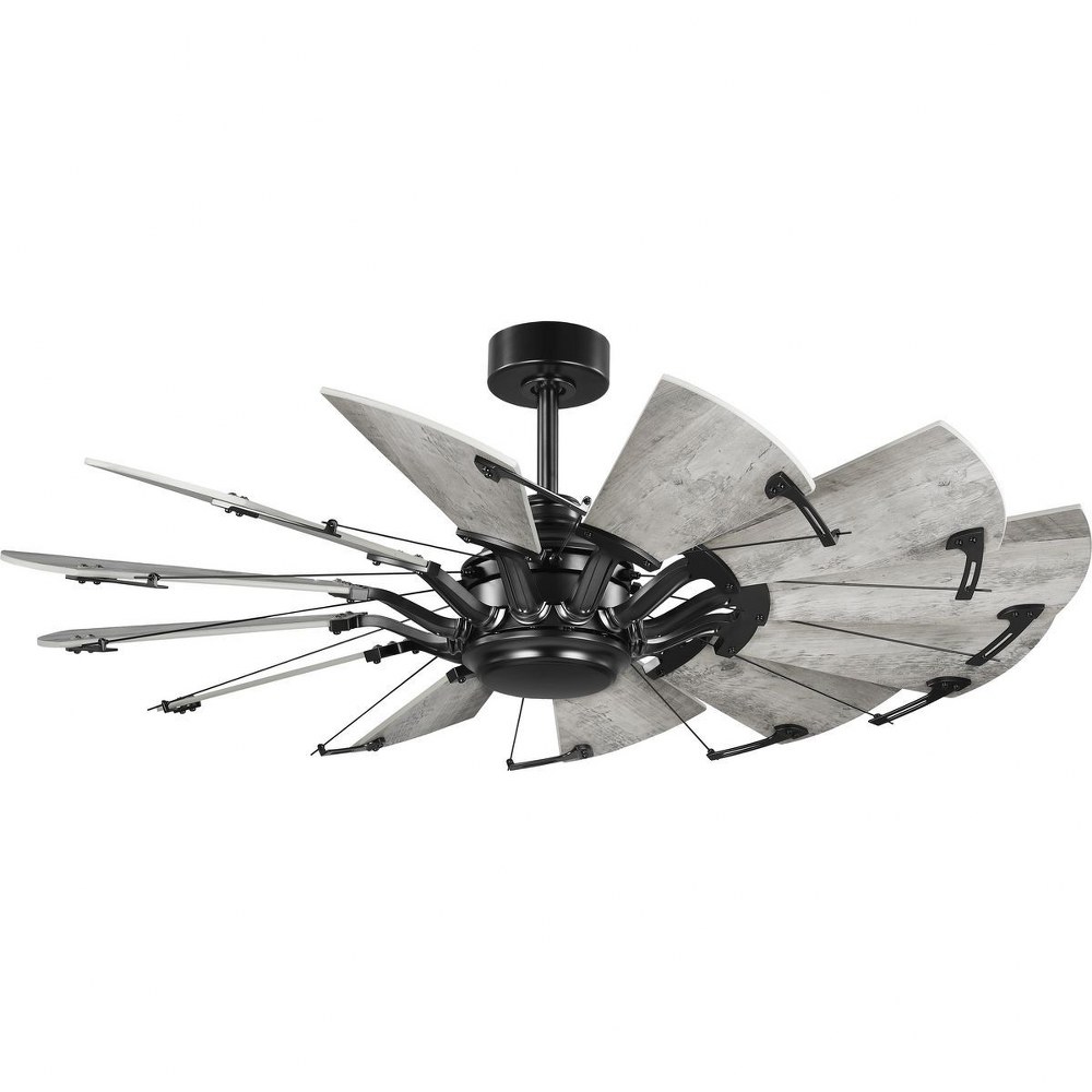 P250065-31M