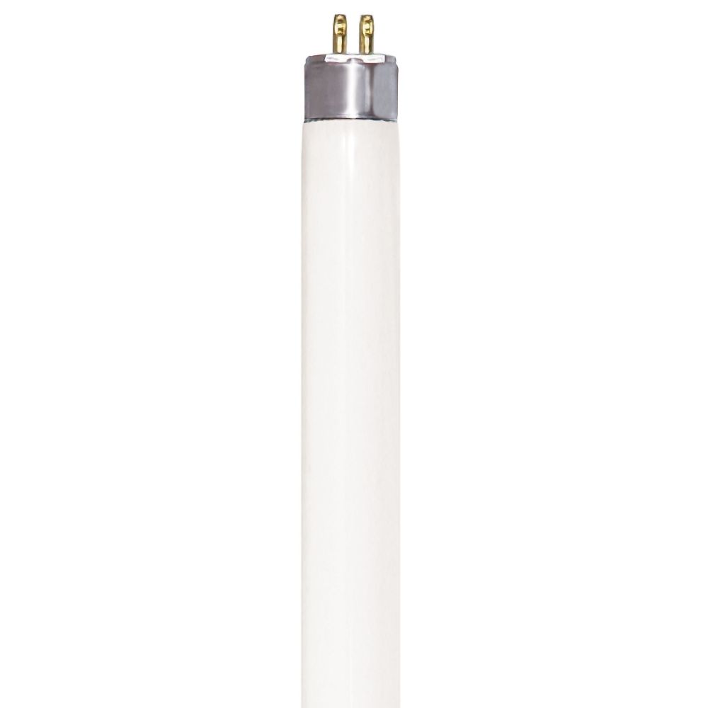 S6444