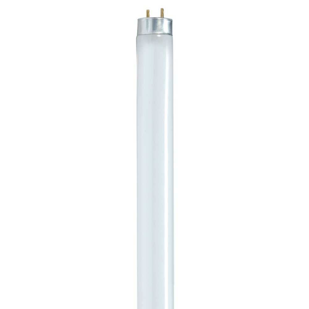 S8424